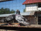 SAM_1640