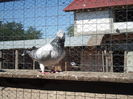 SAM_1651