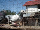 SAM_1652