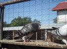 SAM_1653