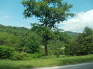 Excursie Arnota 025