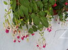 DSCN1359[1]