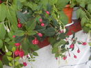 DSCN1361[1]