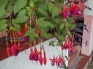 DSCN1362[1]