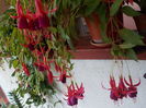 DSCN1364[1]