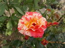 DSCN2532