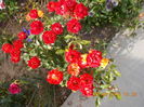 DSCN2538