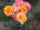 DSCN2564