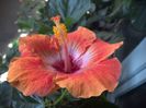 WIN_20160816_102033