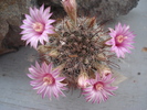 DSC08751