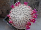 DSC08759