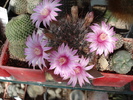DSC08780