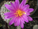 DSC08805