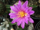 DSC08806