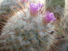 DSC08864