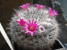 DSC09307