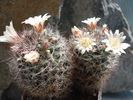 DSC09315