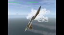 Sukhoi SU-27 in evolution flight