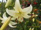 DSCN3020