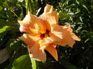 DSCN1386[1]