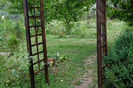 gradina-31
