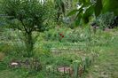 gradina-32
