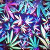 96366-Abstract-Marijuana-Leaves