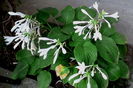 IMG_20160820_080255