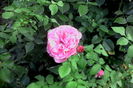 IMG_20160820_080104
