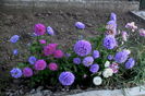 IMG_20160820_075918