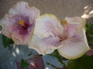 P1290361