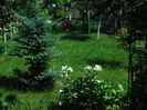 SAM_8666