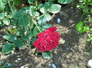 SAM_8757