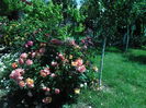 SAM_8798