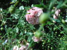 SAM_8800