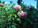 SAM_8840