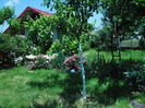 SAM_8879