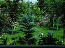 SAM_8935