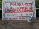 POLONIA 2011