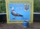 UKRAINA 2016 UNF FCI