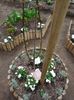 Aprilie (plantat toamna 2015)