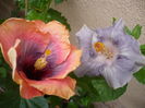 P1290521