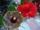 P1290567