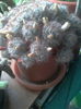 2016-06-19 06.56.57