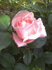 2016-05-26 14.17.39