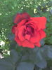 2016-05-30 12.45.36