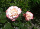 2016-05-30 12.47.12
