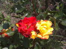 2016-05-30 12.52.54