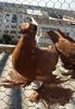 20160829_174001-1