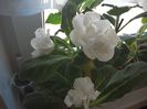 WIN_20160830_080701